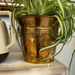 A-0629 Brass Plant Pot