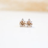 STD-011 Dallas Studs