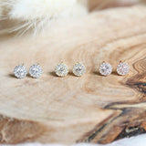 STD-012 Fortune Studs