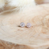 STD-012 Fortune Studs