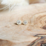 STD-012 Fortune Studs