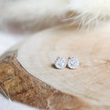 STD-012 Fortune Studs