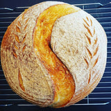 SSD-01-$17 Sourdough Starter-Dehydrated