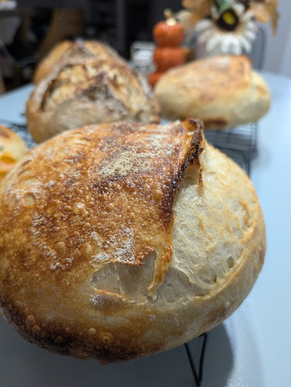 B-More Bakes