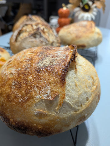 B-More Bakes