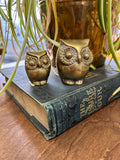 A-4232 Set of 2 Brass Owls