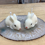 IP-02 Rabbits