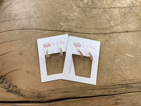 STD-119 Sparkly Horseshoe Hoops