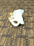 A-4282 Vintage MCM Anthropomorphic Small Dog playing tuba Ceramic Figurine Japan