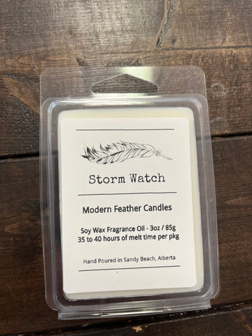 MFC-167 Storm Watch - Wax Melt 3oz