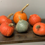 RUF-23 Organic pumpkins $5 each or 3 for $12