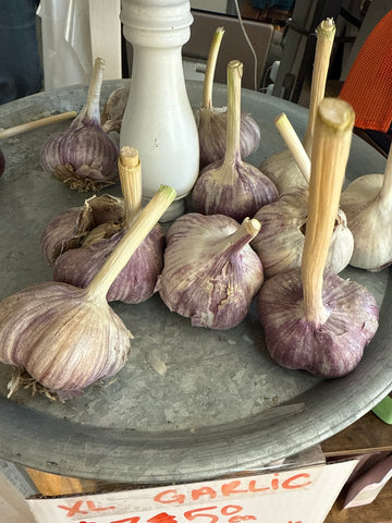 WHC-28 Garlic