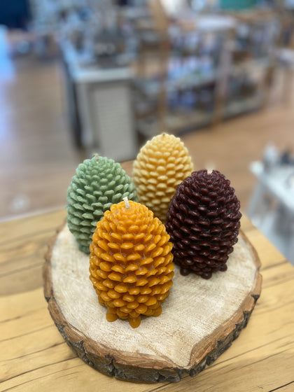 WSC-17 Jumbo Pine Cones