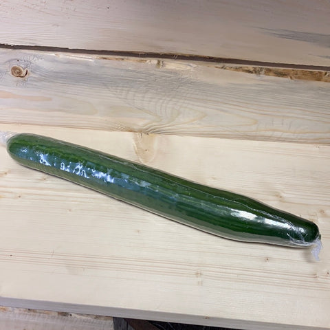 DGH-17 Large English Cucumbers
