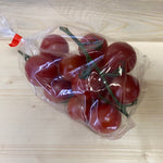 DGH-12 Cherry Tomato -red tag